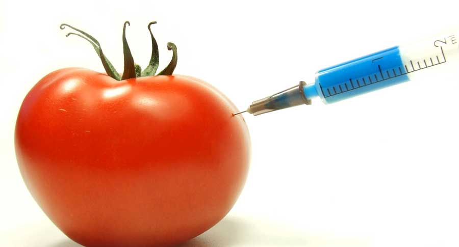 eat-your-gmo1