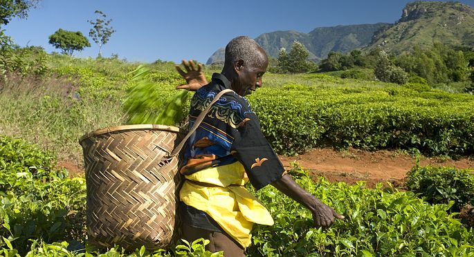 De ce sa alegem sigla FairTrade?
