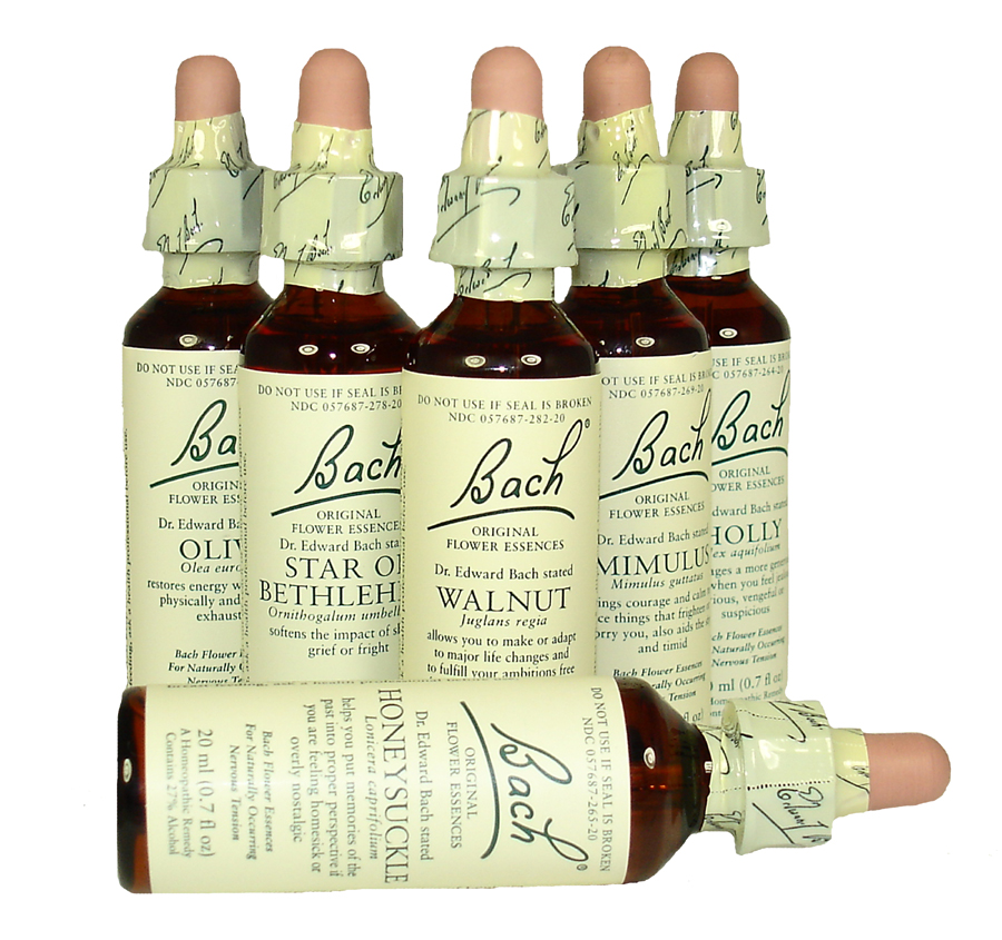 Terapia Florile lui Bach - cum utilizam puterea naturii